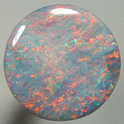 SOLID SEMI BLACK OPAL Floral Harlequin pattern, red over blue SEE VIDEO